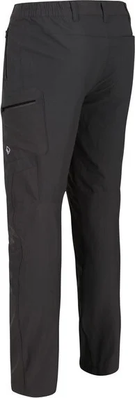 Pánské outdoorové kalhoty REGATTA RMJ216L Highton Trs