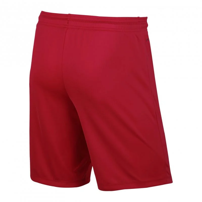 Pánské červené šortky PARK II Nike