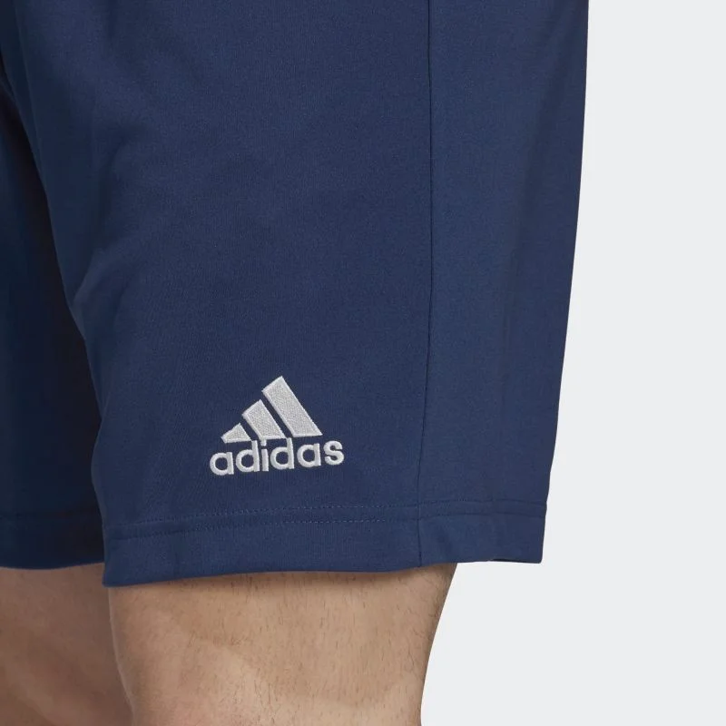 Pánské šortky Adidas rychleschnoucí