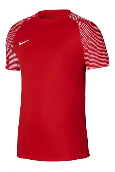 Pánské tréninkové tričko Dri-Fit Academy SS Nike