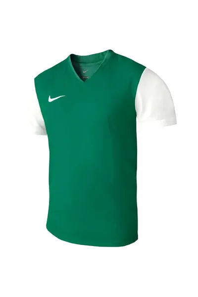Pánské zelené tréninkové tričko Dri-Fit Tiempo Premier 2  Nike