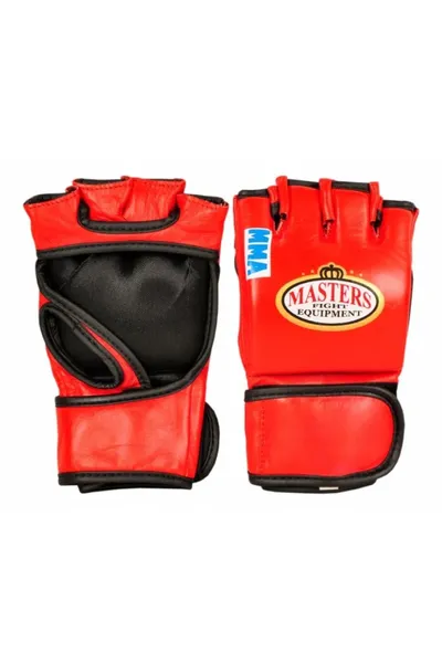 Pánské rukavice na MMA Masters