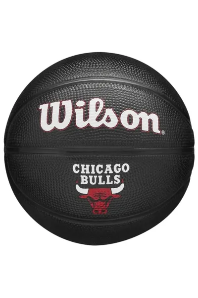 Dětský basketbalový míč Team Tribute Chicago Bulls Wilson