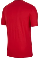 Pánské tričko Nike Poland Evergreen Crest