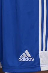 Pánské modré sporotvní kraťasy Tastigo 19 Adidas