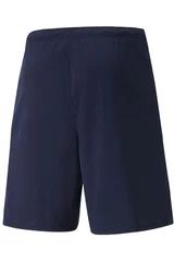 Pánské tričko teamRISE Short Peacoat Puma