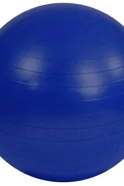 Velký gymnastický míč pro zdravé tělo (95 cm)