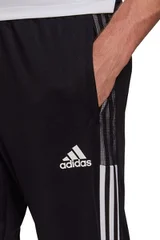 Pánské tepláky TIRO21 TRACK PANT Adidas