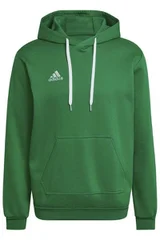 Pánská zelená mikina Entrada 22 Sweat Hoodie Adidas