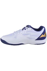 Boty Mizuno Thunder Blade Z