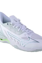 Pánské házenkářské boty Mizuno Wave Mirage 5