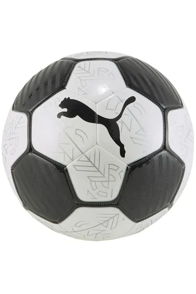 Fotbalový míč Puma Prestige