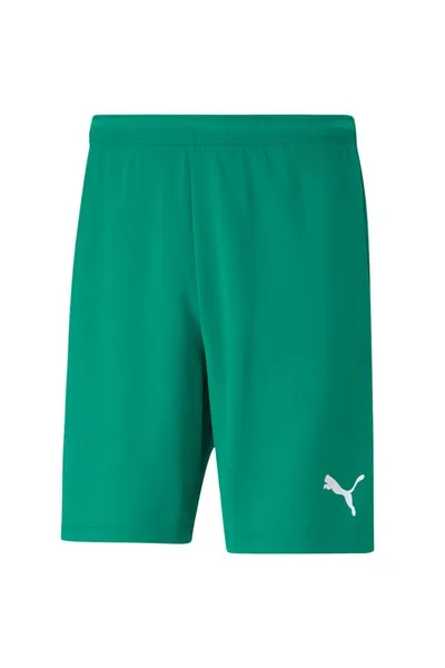 Pánské zelené sportovní šortky teamRISE Short  Puma