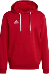 Pánská mikina Entrada 22 Hoody  Adidas