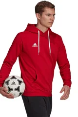 Pánská mikina Entrada 22 Hoody  Adidas