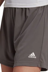 Pánské sportovní kraťasy Entrada  Adidas