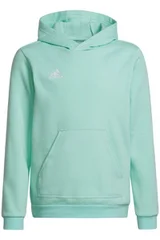 Dětská fotbalová mikina Entrada 22 Hoody Adidas