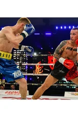 Profesionální dětské boxerské rukavice WOLF od Yakimasportu