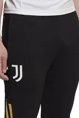 Pánské tréninkové kalhotky Adidas Juventus