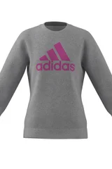 Dívčí šedá mikina Big Logo Swt Adidas