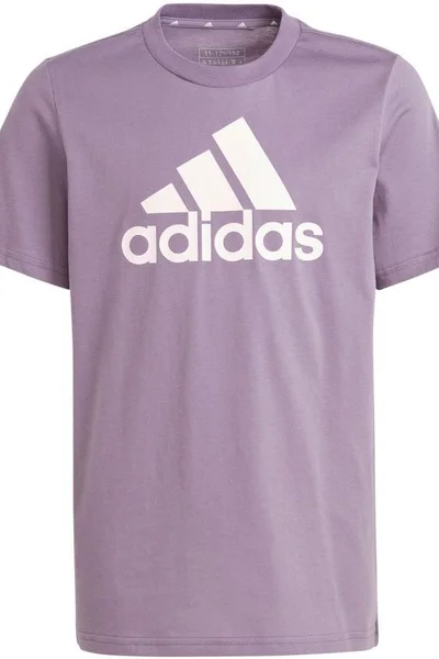 Dětské tričko Adidas Essentials Big Logo Cotton Tee