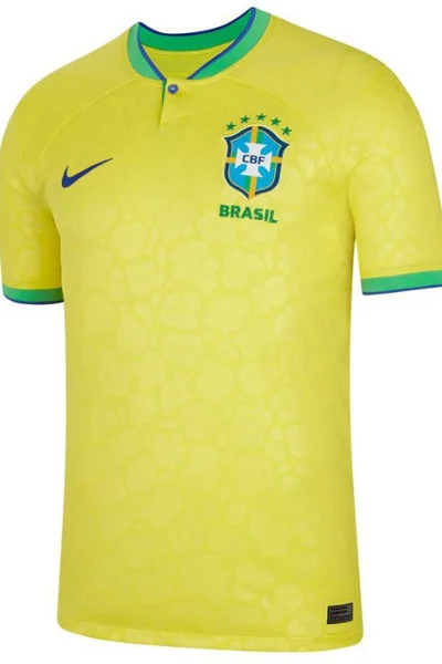 Pánské tričko Brazil Homme Nike
