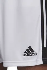 Pánské šortky Adidas Tastigo 19