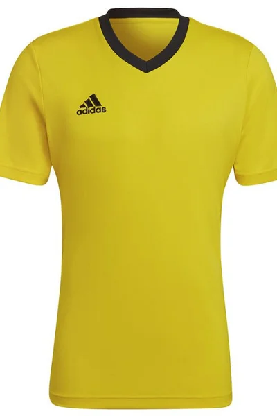 Pánské žluté tričko Entrada 22 Jersey Adidas