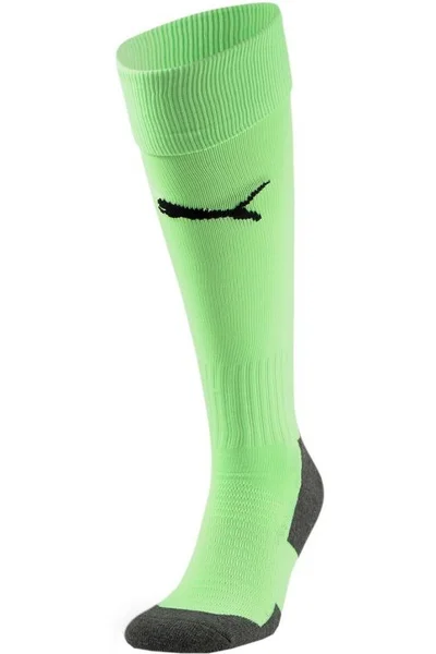 Puma Team Liga Socks Core fotbalové kamaše 703441 47