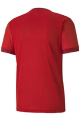 Pánský červený dres Puma teamGOAL 23 Jersey