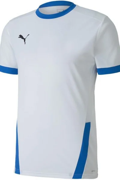 Pánský fotbalový dres Puma teamGOAL 23 Jersey