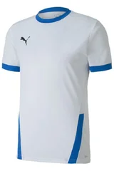 Pánský fotbalový dres Puma teamGOAL 23 Jersey