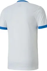 Pánský fotbalový dres Puma teamGOAL 23 Jersey