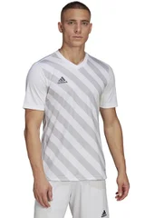 Pánský tréninkový dres Entrada 22 Graphic Jersey Adidas