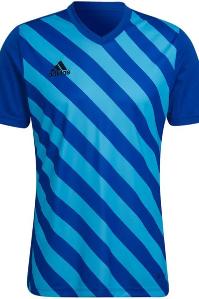 Pánský modrý fotbalový dres Entrada 22 Graphic Jersey Adidas