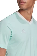 Pánské tričko Entrada 22 Jersey Adidas
