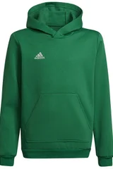 Dětská zelená fotbalová mikina Entrada 22 Hoody Y Adidas