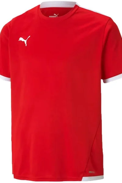 Dětský fotbalový dres Puma teamLIGA