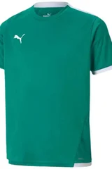 Dětský fotbalový dres Puma teamLIGA