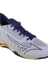 Pánské házenkářské boty Mizuno Wave Mirage 5