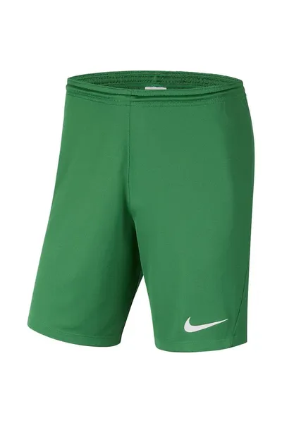 Pánské zelené šortky Dry Park III NB Nike