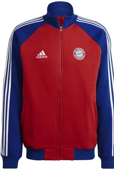 Pánská mikina FC Bayern s klubovým znakem - Adidas