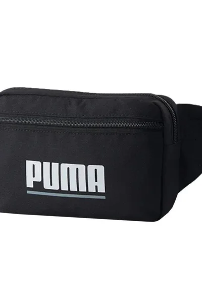 Ledvinka Puma Plus