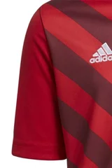 Dětský sportovní dres s krátkým rukávem Adidas Entrada Graphic