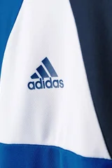 Dětská brankářská mikina Assita 17 Adidas