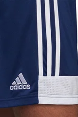 Tmavě modré pánské kraťasy Adidas Tastigo