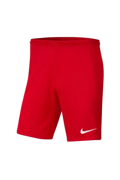 Pánské šortky Suchý Park III Nike