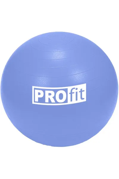 Gymnastický modrý míč  s pumpičkou PROfit (85 cm)