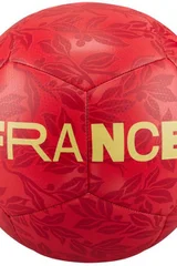 Fotbalový míč Nike France Pro