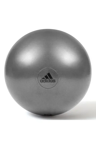 Gymnastický míč Adidas (75 cm)